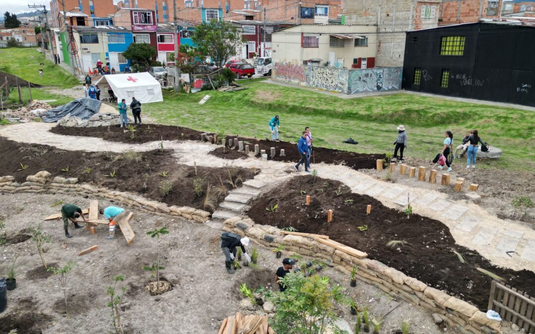Recuperación de humedales urbanos con soluciones basadas en la naturaleza en Soacha, Colombia
